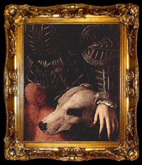 framed  Angelo Bronzino Portrat des Guidobaldo II, ta009-2